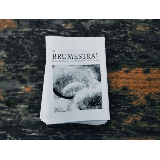 BRUMESTRAL n°1